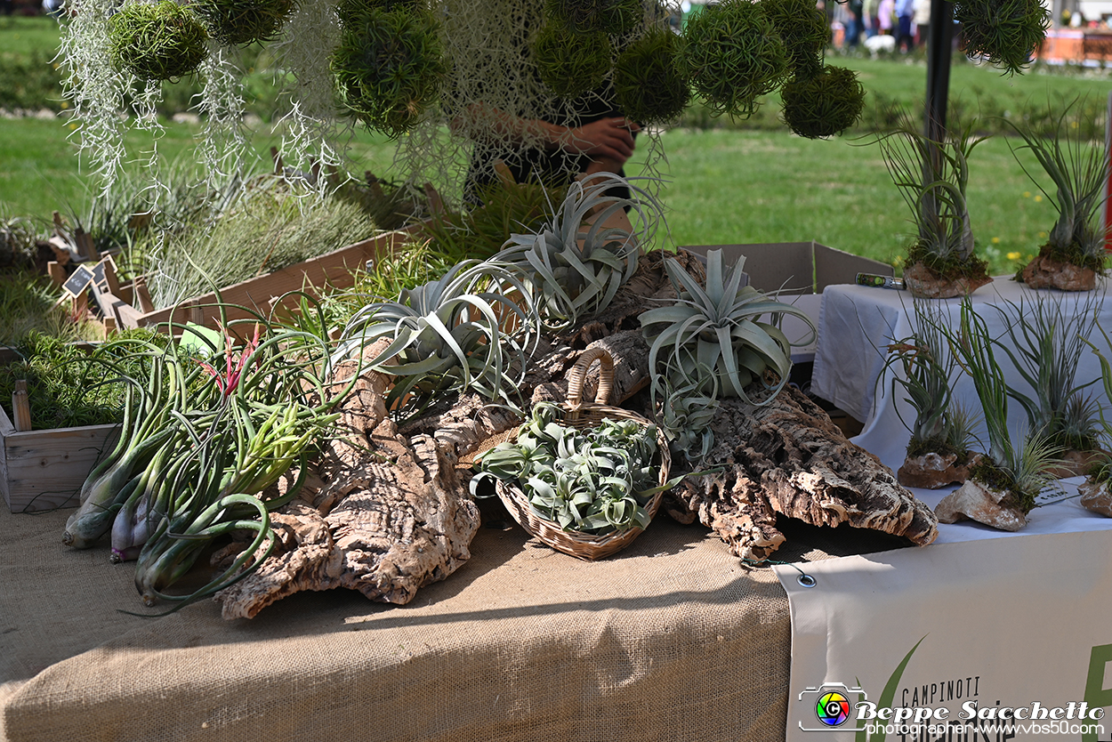 VBS_0908 - Anteprima FloReal 2025.jpg